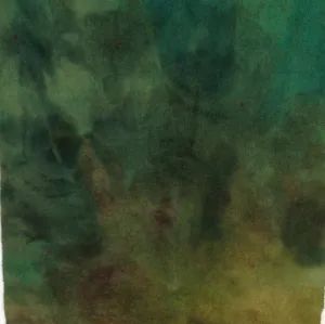 Maxi - #209 Green to Gold
