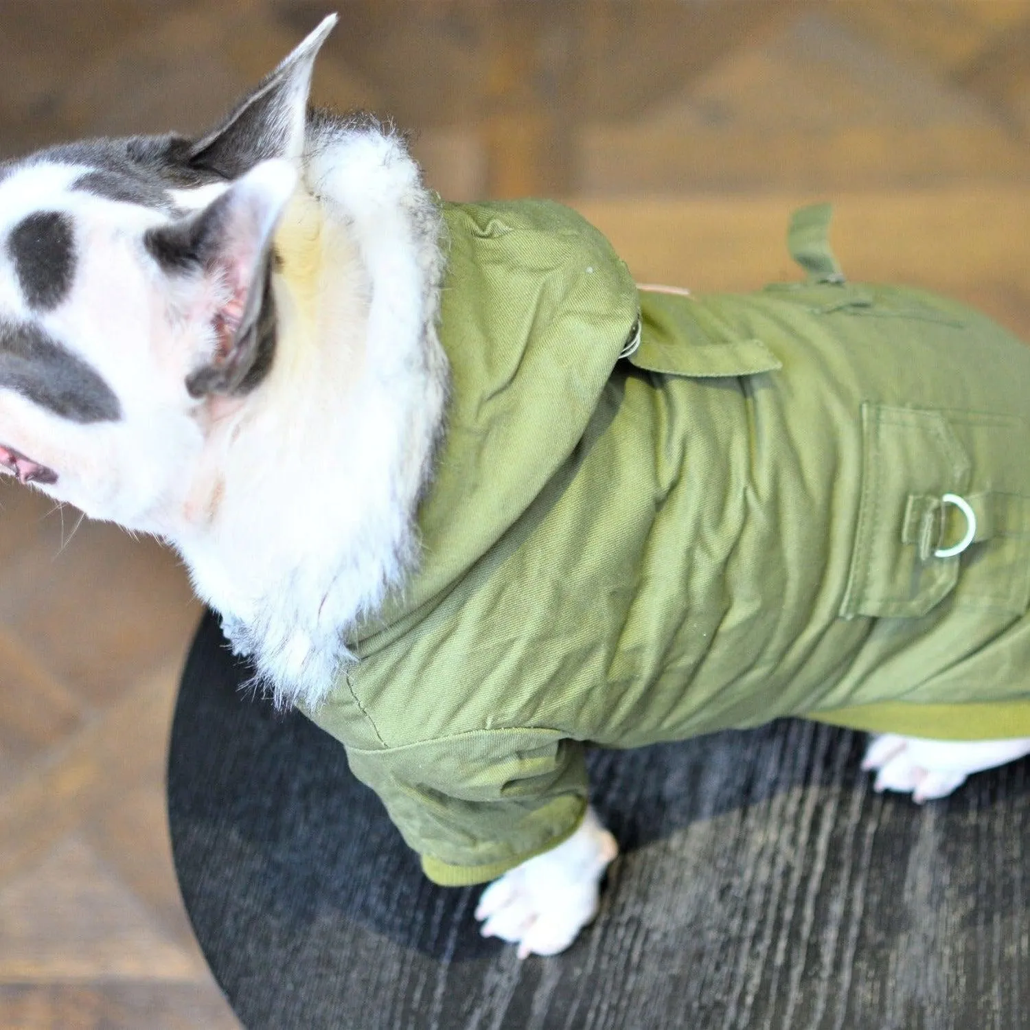 Military Dog Hoodie Jacket