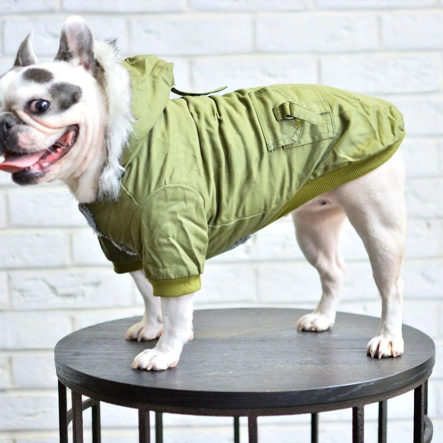 Military Dog Hoodie Jacket
