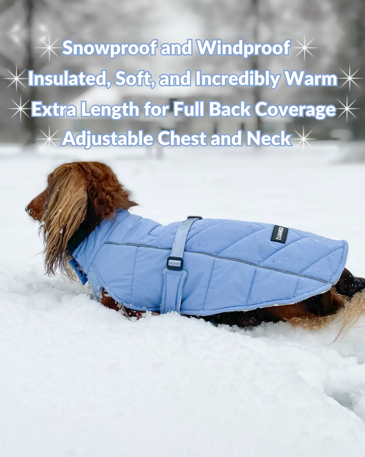 Whistler Winter Dog Coat - Dusk Blue