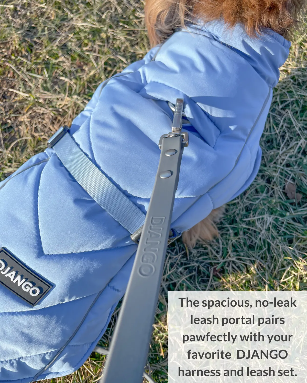 Whistler Winter Dog Coat - Dusk Blue