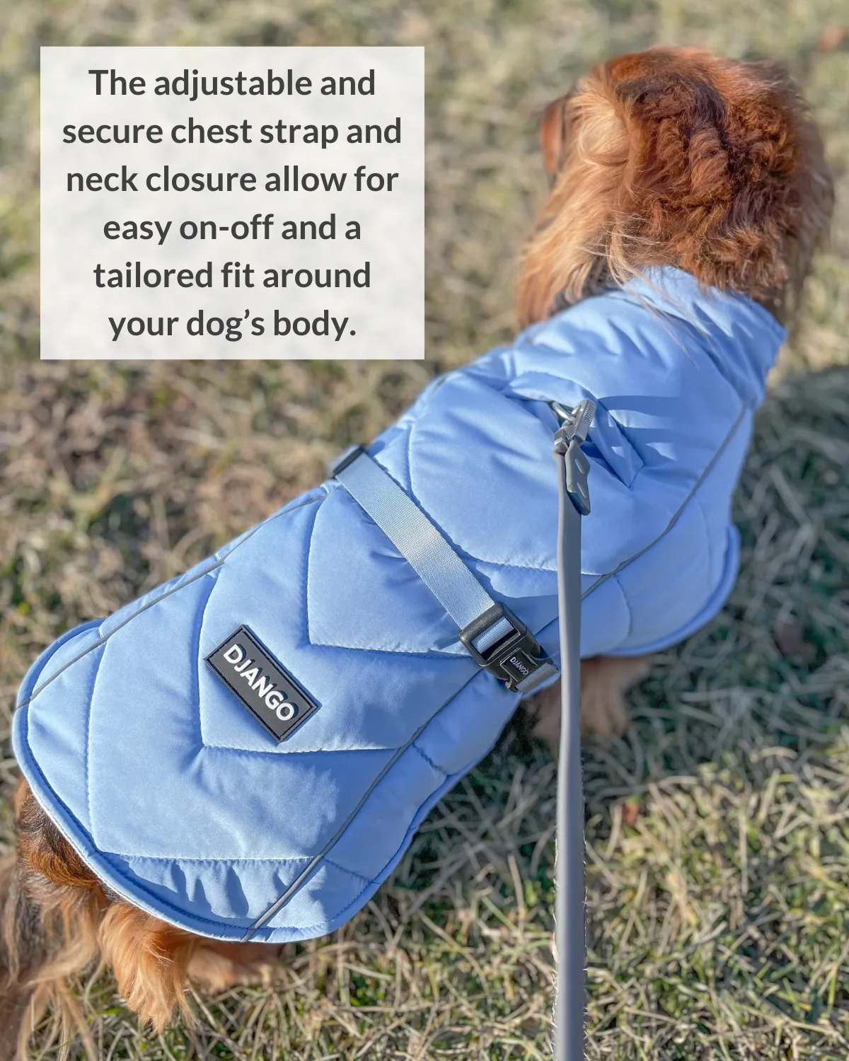 Whistler Winter Dog Coat - Dusk Blue