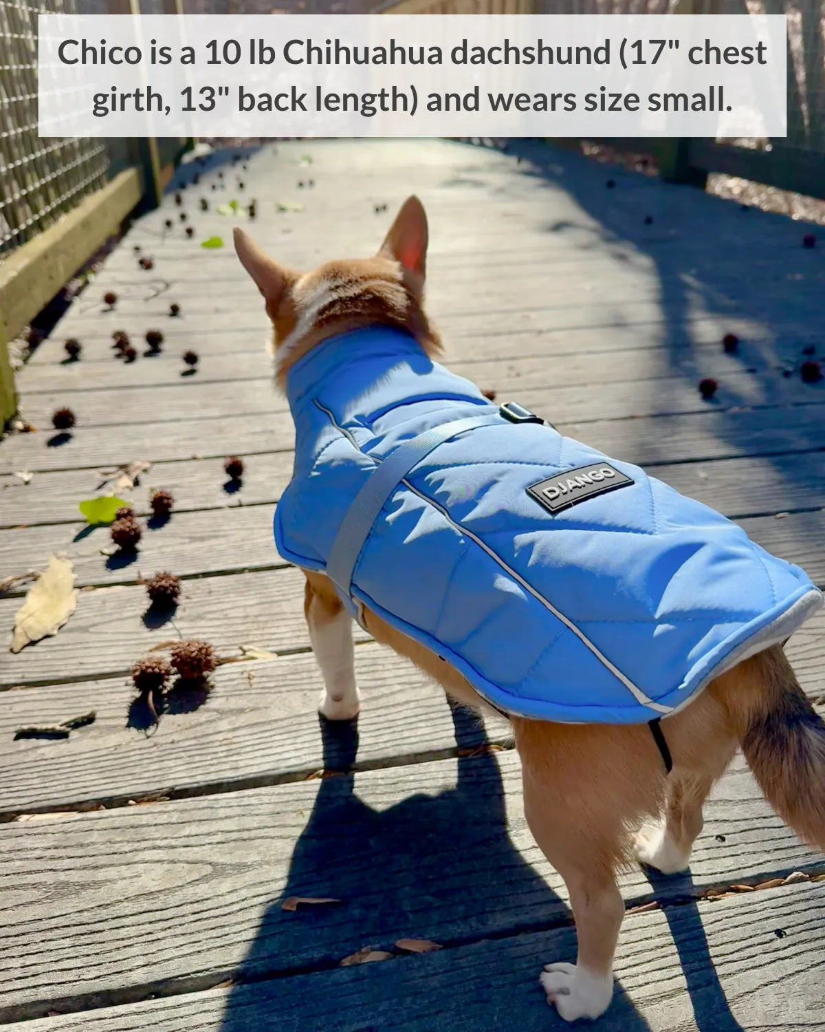 Whistler Winter Dog Coat - Dusk Blue